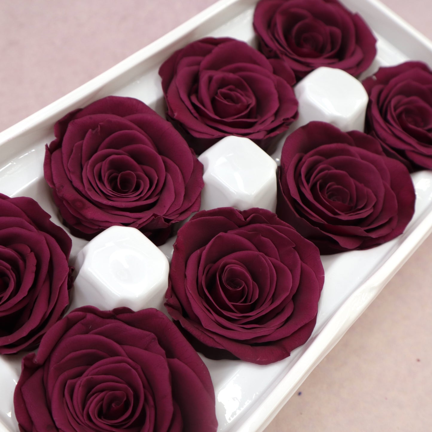 Rose Burgundy 8 heads