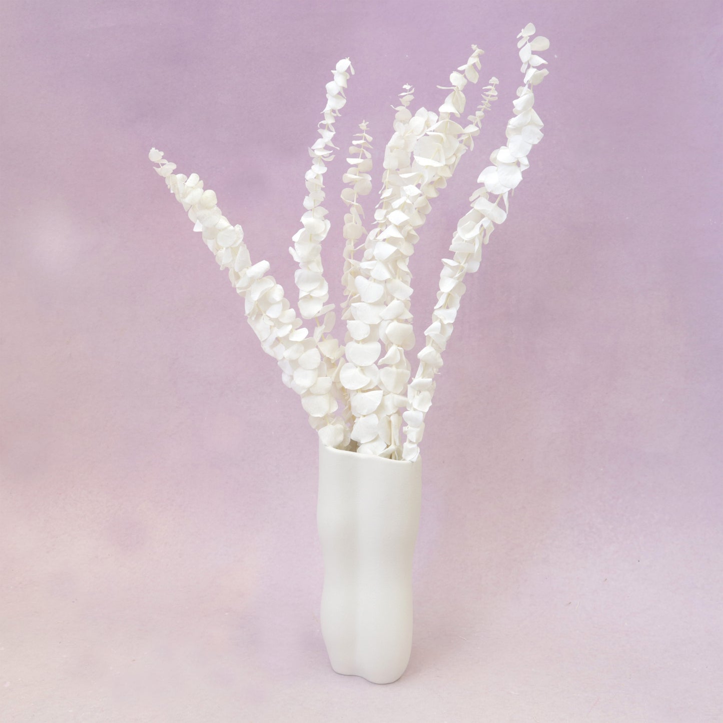 Dollar Gum Off White