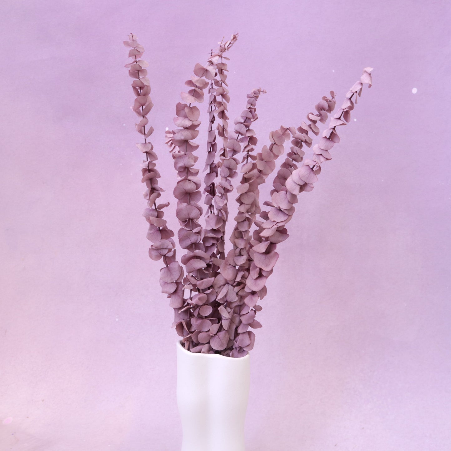 Dollar Gum Heather Purple