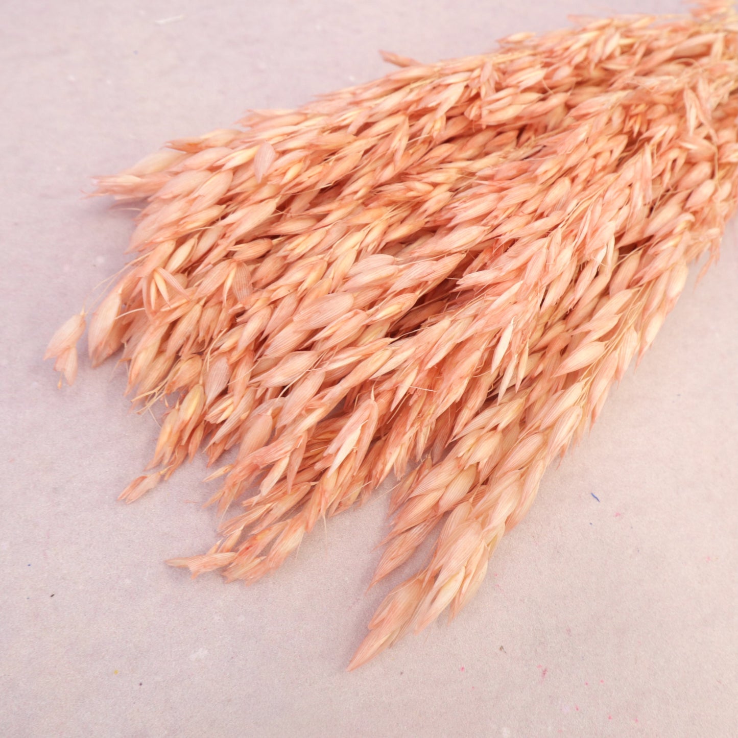 Dried Oat Light Pink