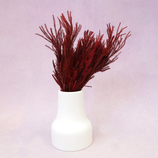 Preserved Lycopodium Red