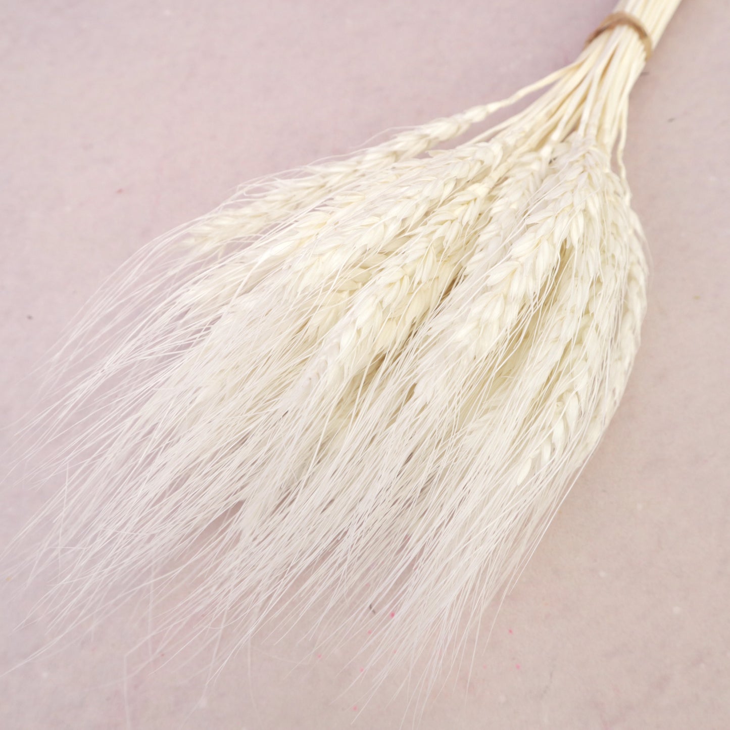 Dried Wheat White