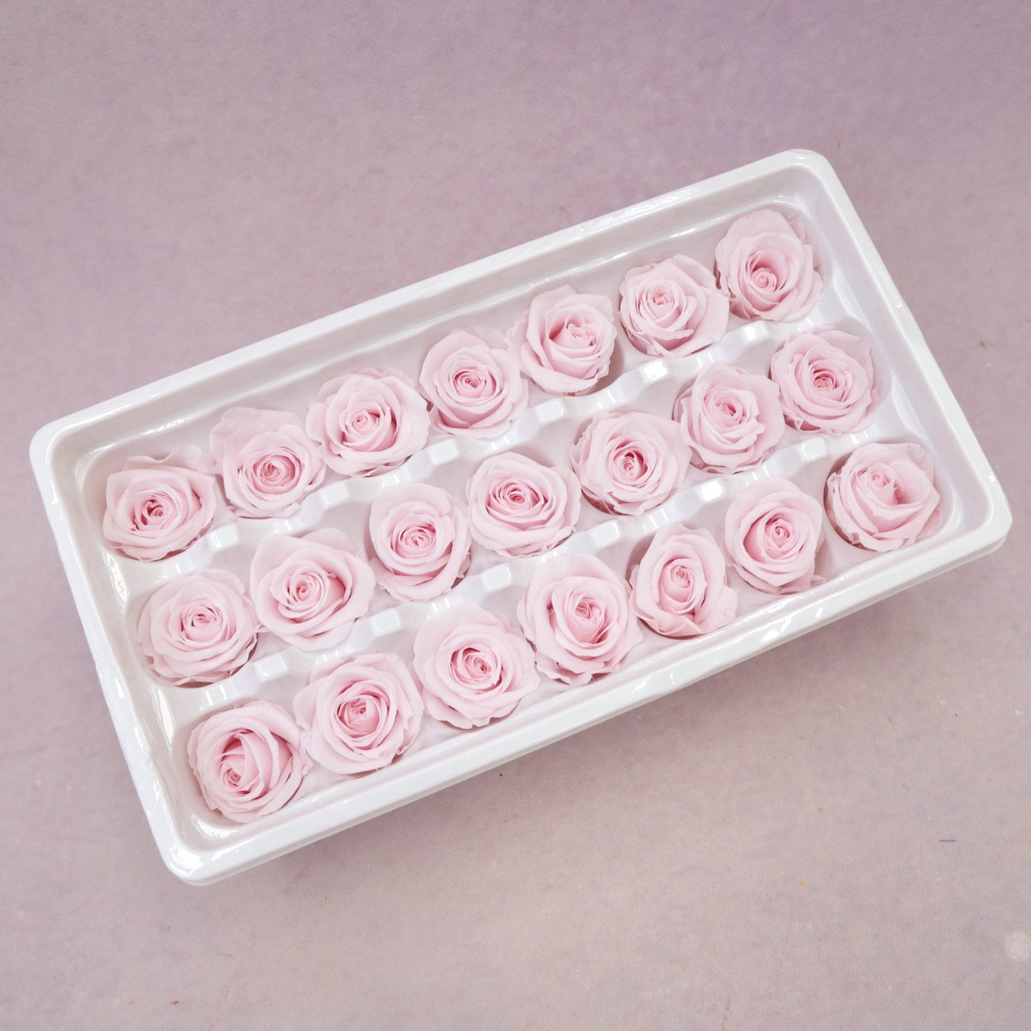 Rose Baby Pink 21 Heads