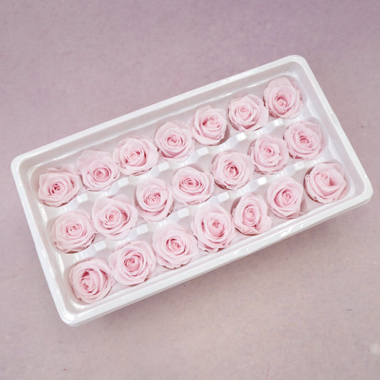 Rose Baby Pink 21 Heads