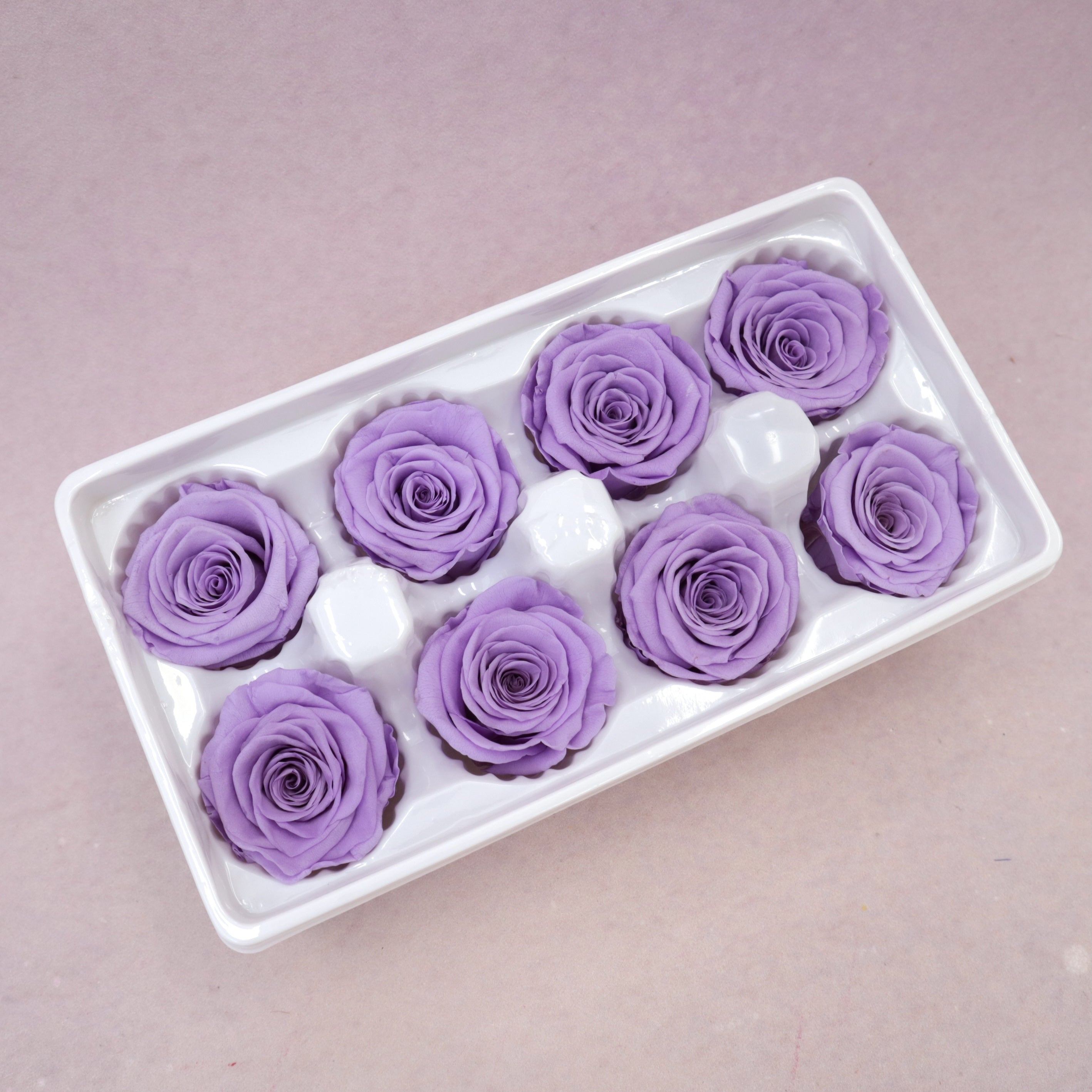 Rose Lilac 8 heads