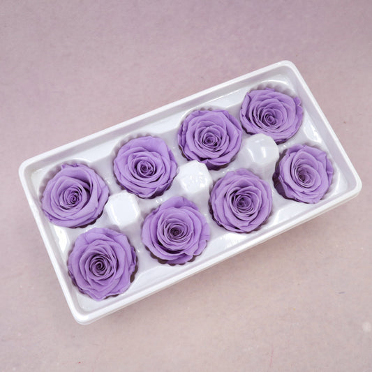 Rose Lavender Purple 8 heads