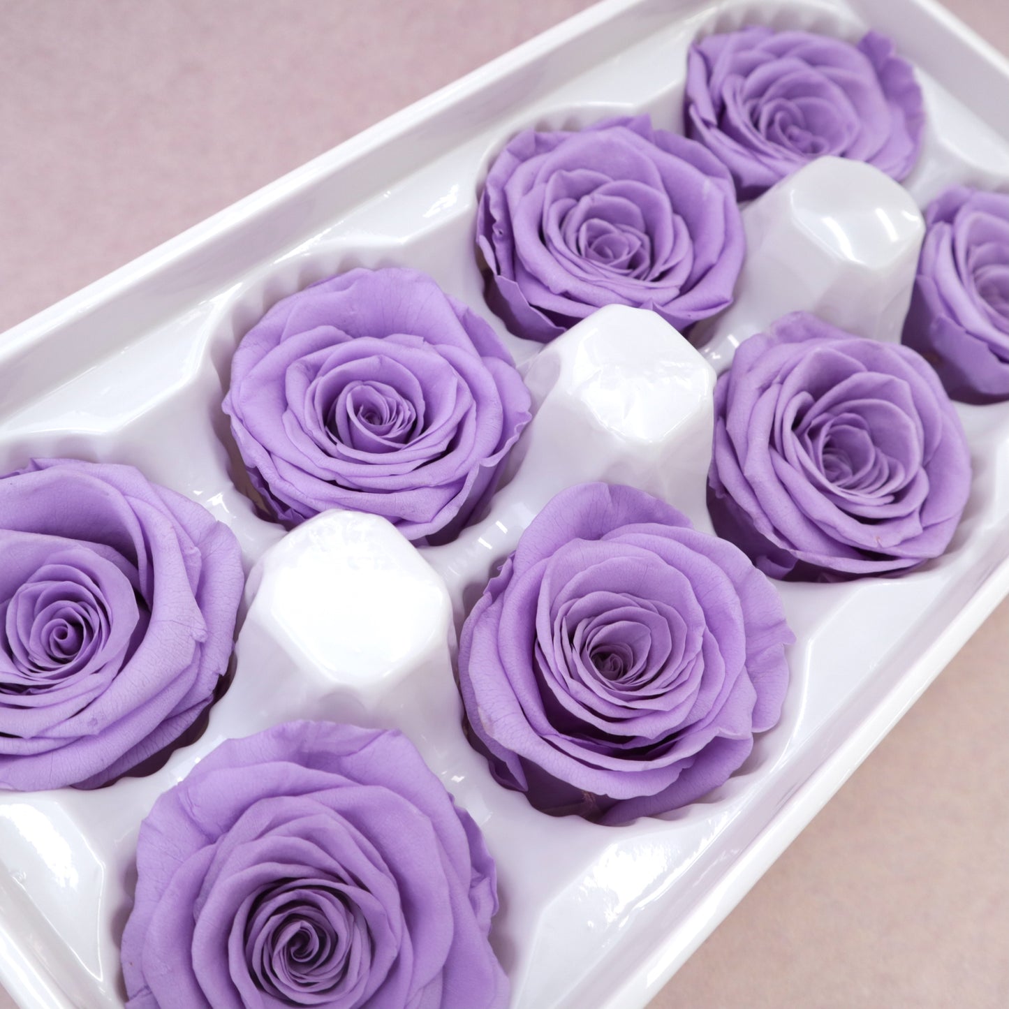 Rose Lavender Purple 8 heads