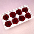 Rose Deep Red 8 Heads