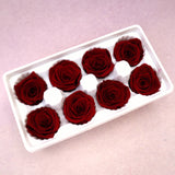 Rose Deep Red 8 Heads
