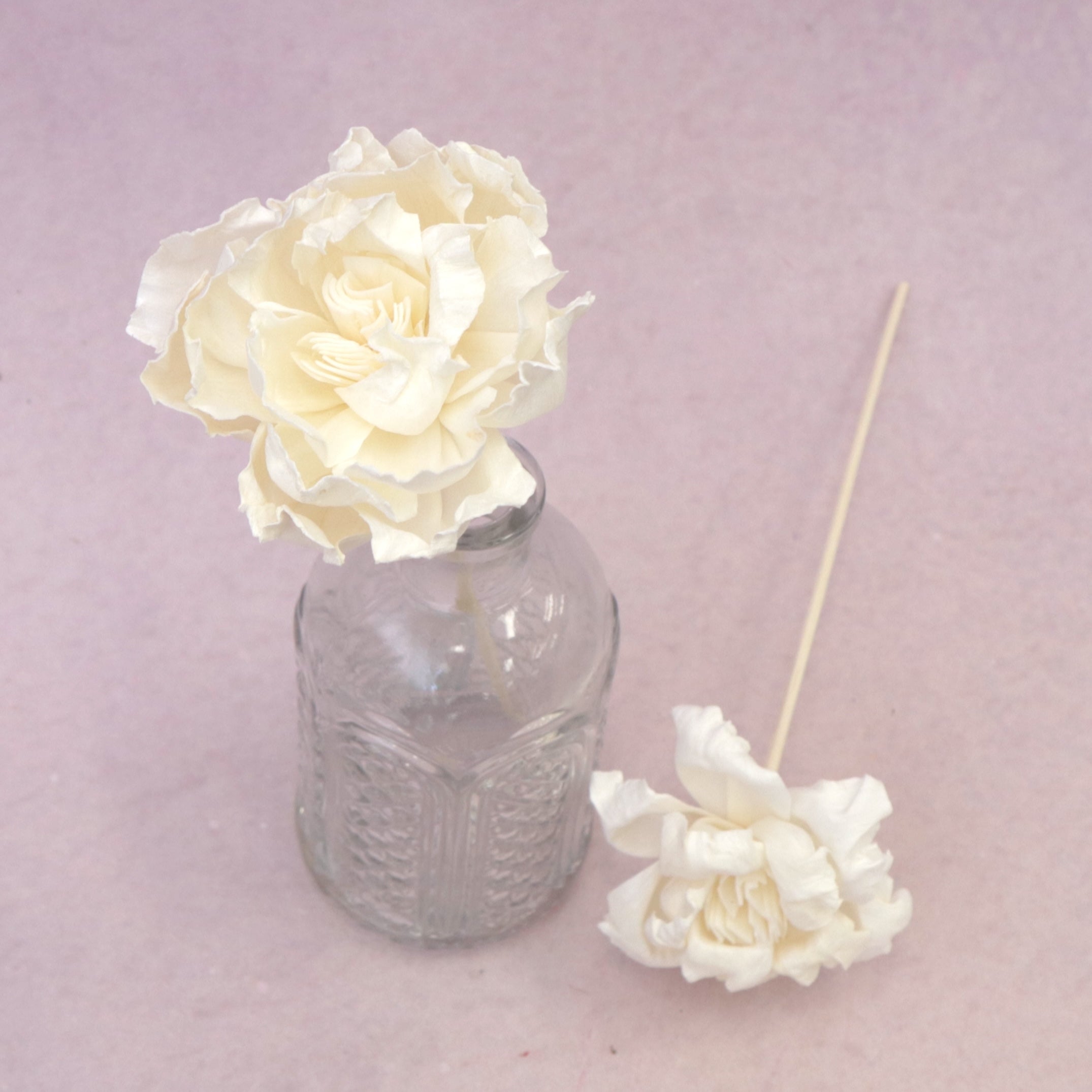 Sola Flower D