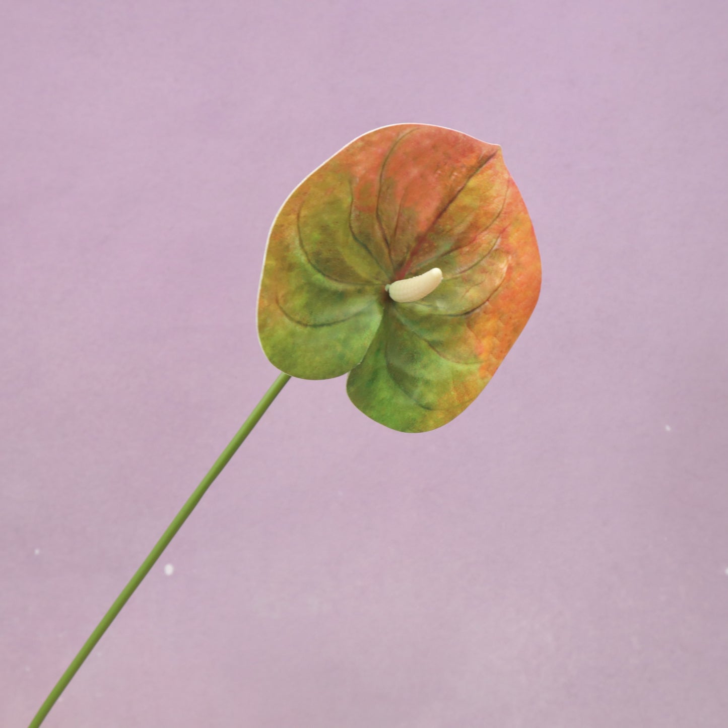 Artificial Anthurium (Small)