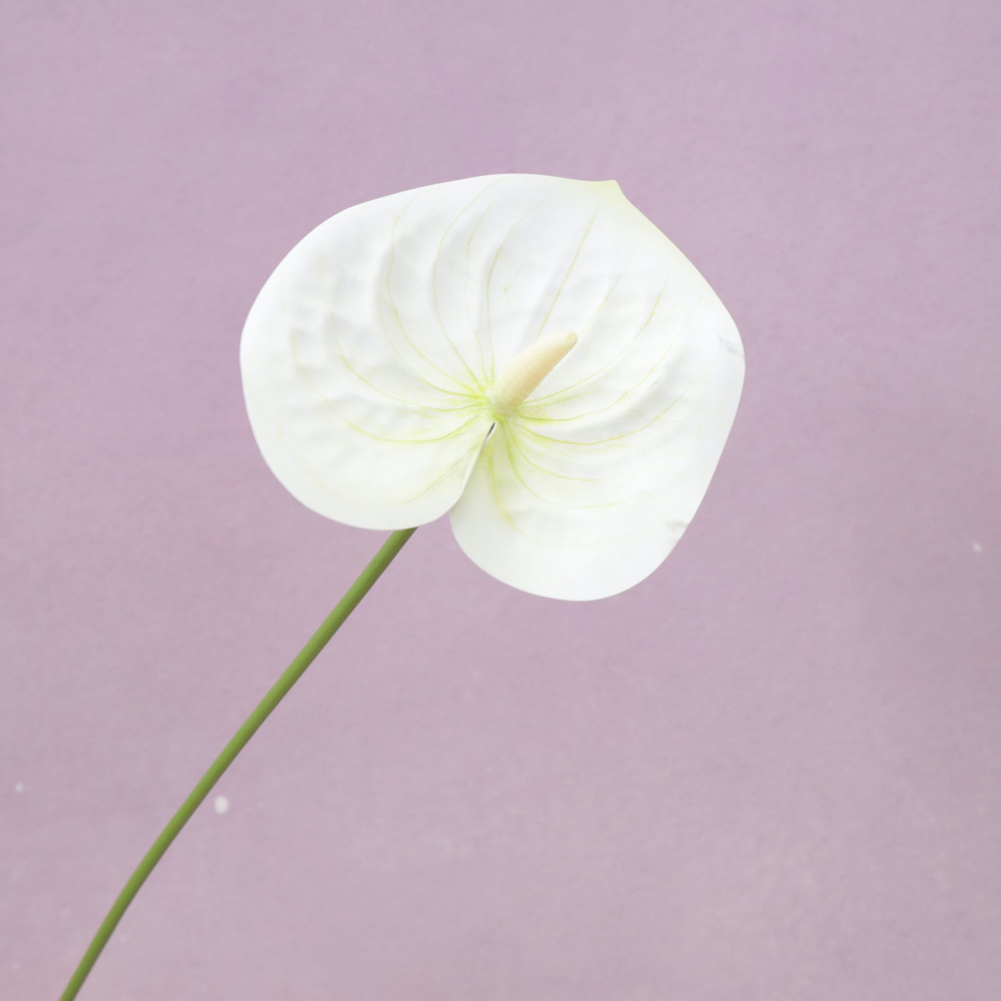 Artificial Anthurium (Small)