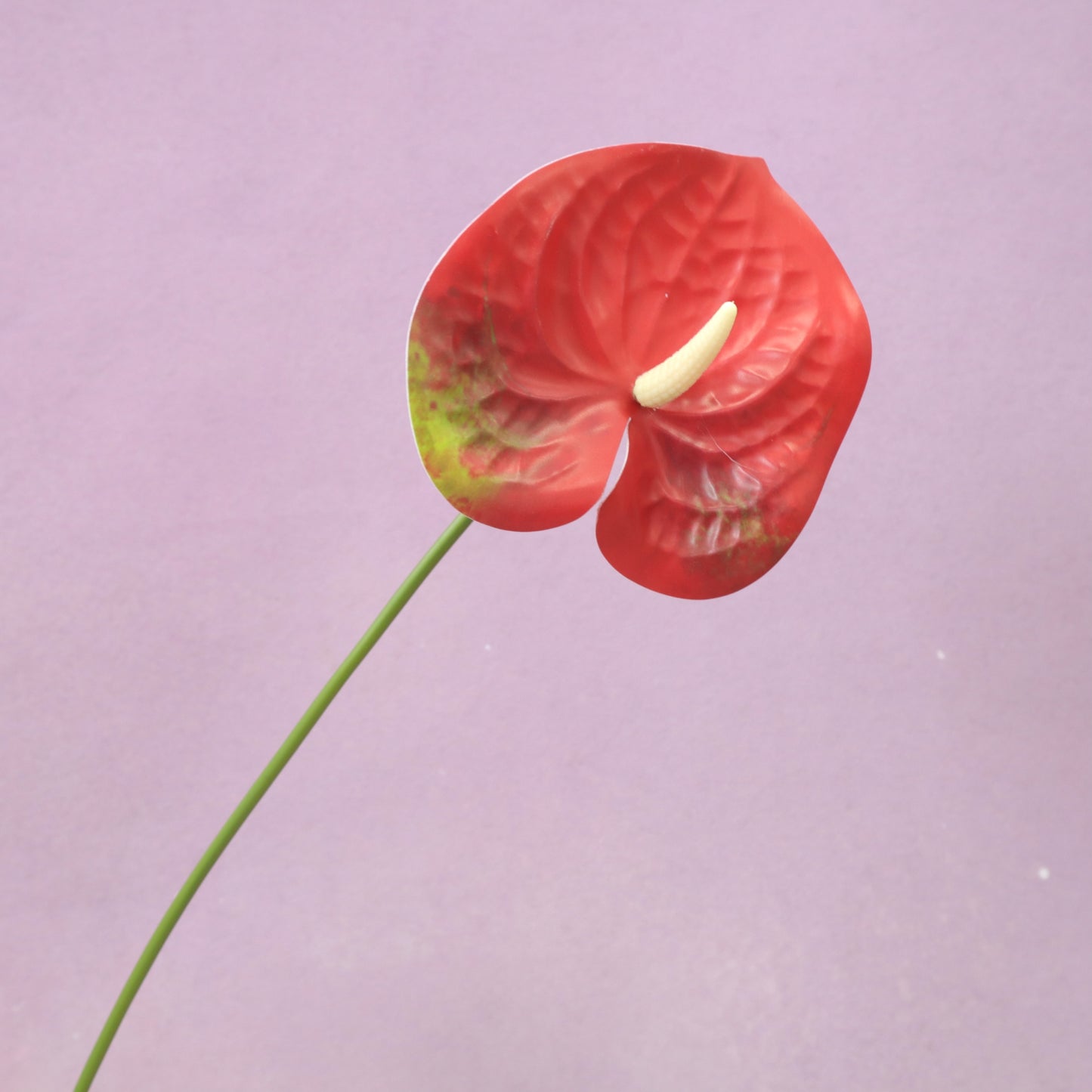 Artificial Anthurium (Small)