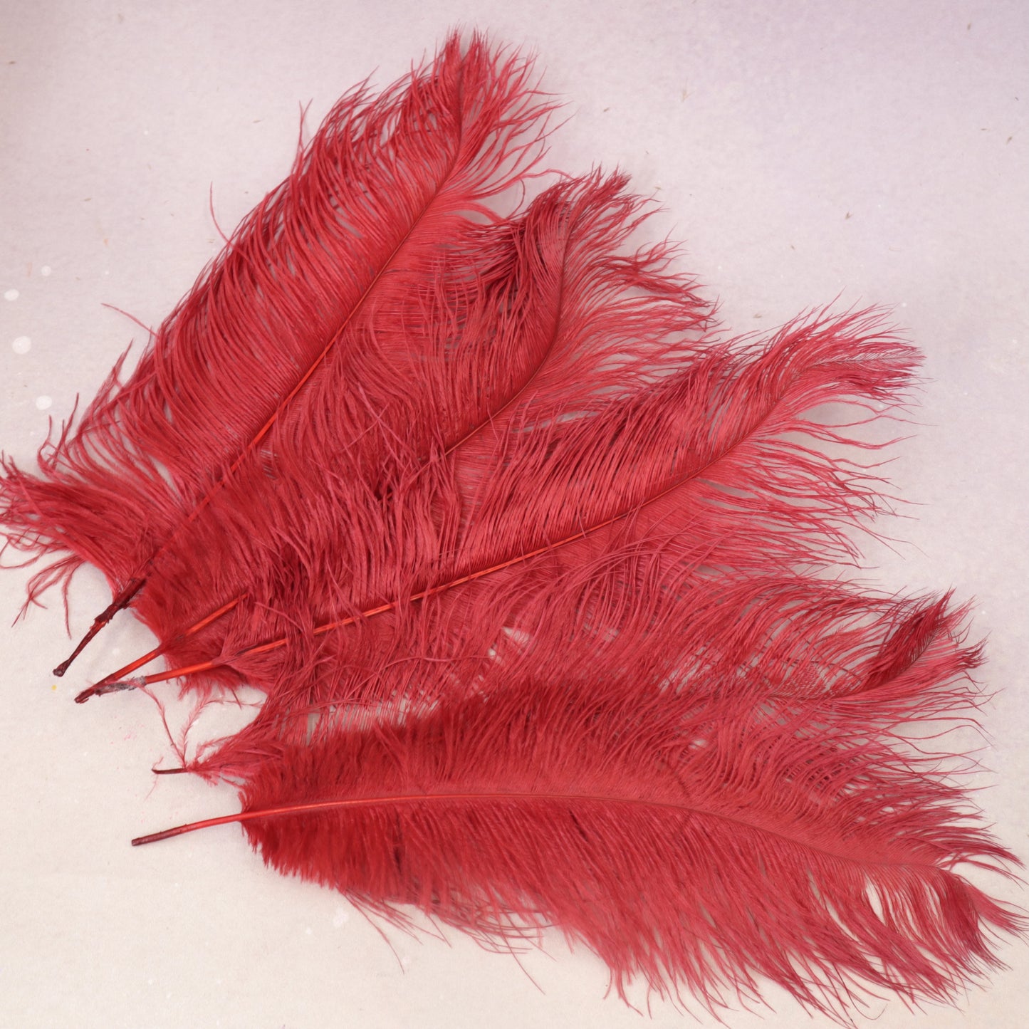 5 pcs Ostrich Feathers Red