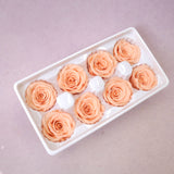 Rose Coral 8 Heads