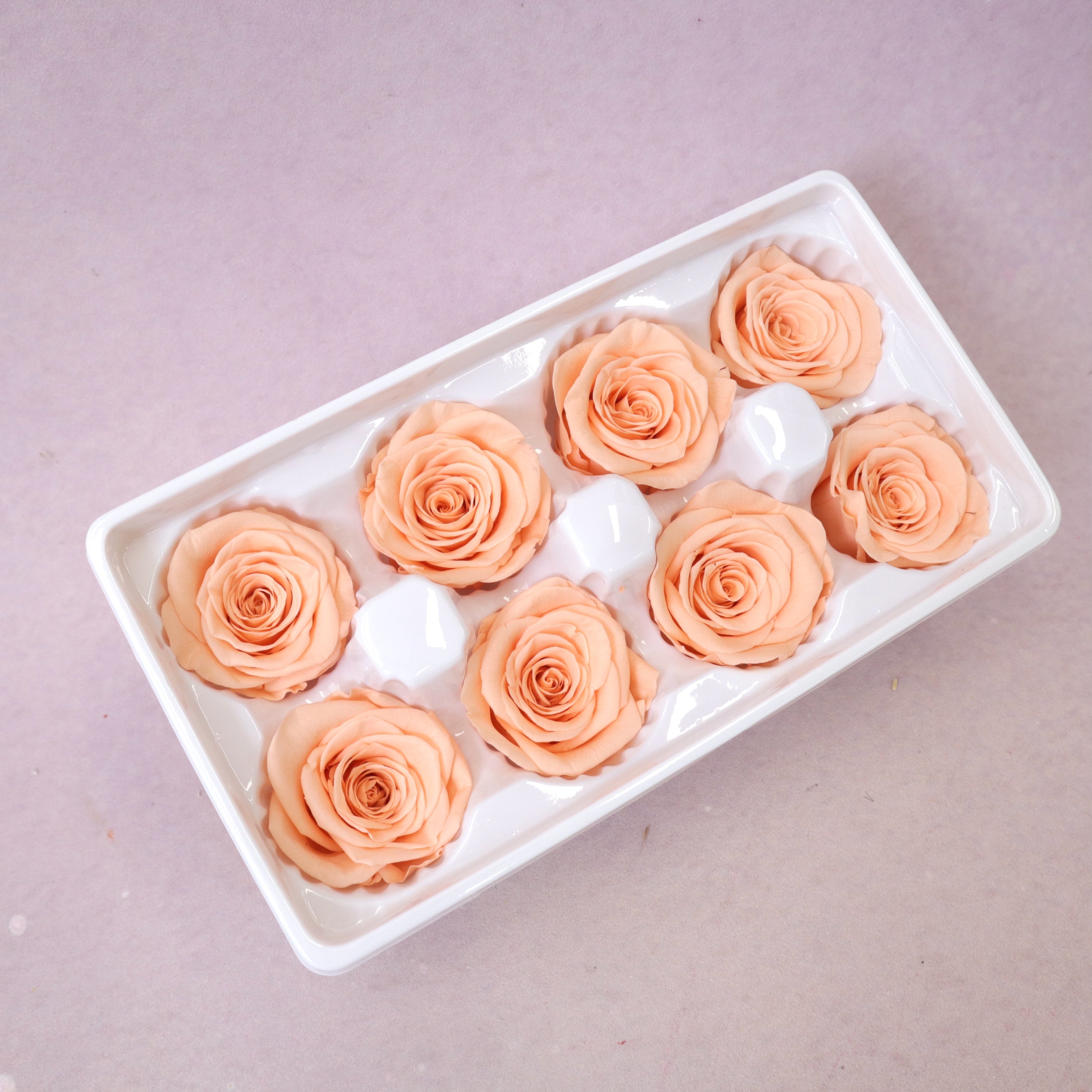 Rose Coral 8 Heads