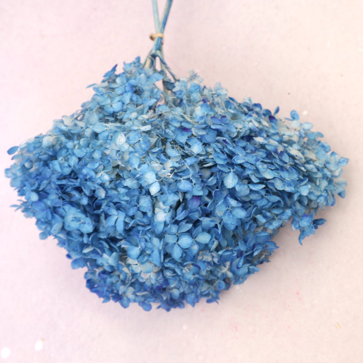 Annabelle Hydrangea Blue (clearence)