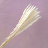 Fluffy Stick Creamy White