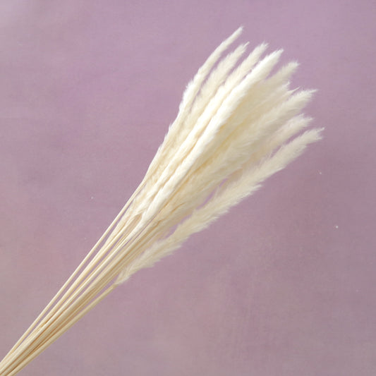 Fluffy Stick Creamy White