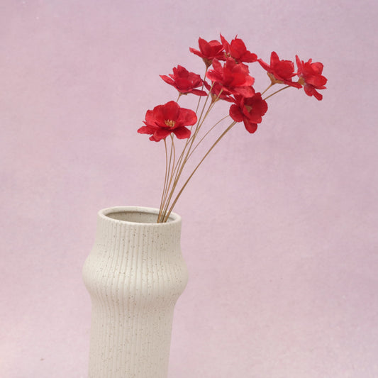 Sola Anemone Flower Red