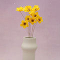 Sola Anemone Flower Yellow