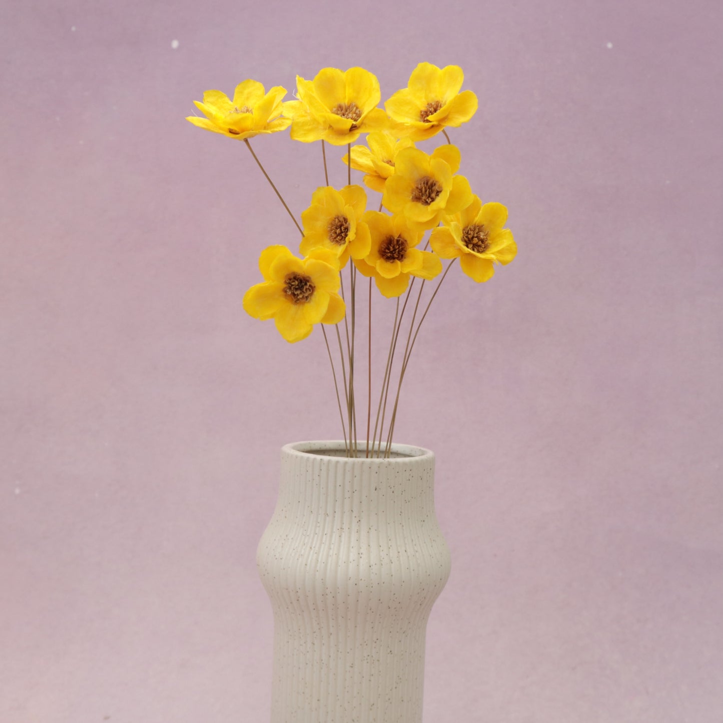 Sola Anemone Flower Yellow