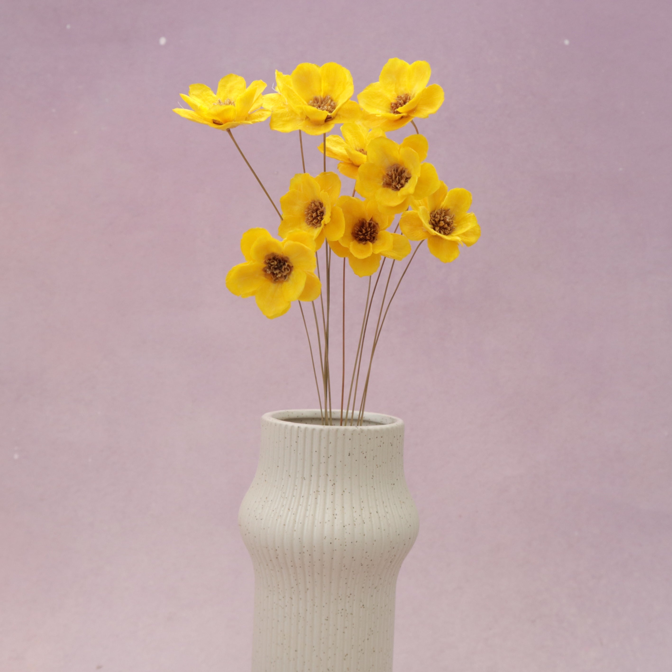 Sola Anemone Flower Yellow