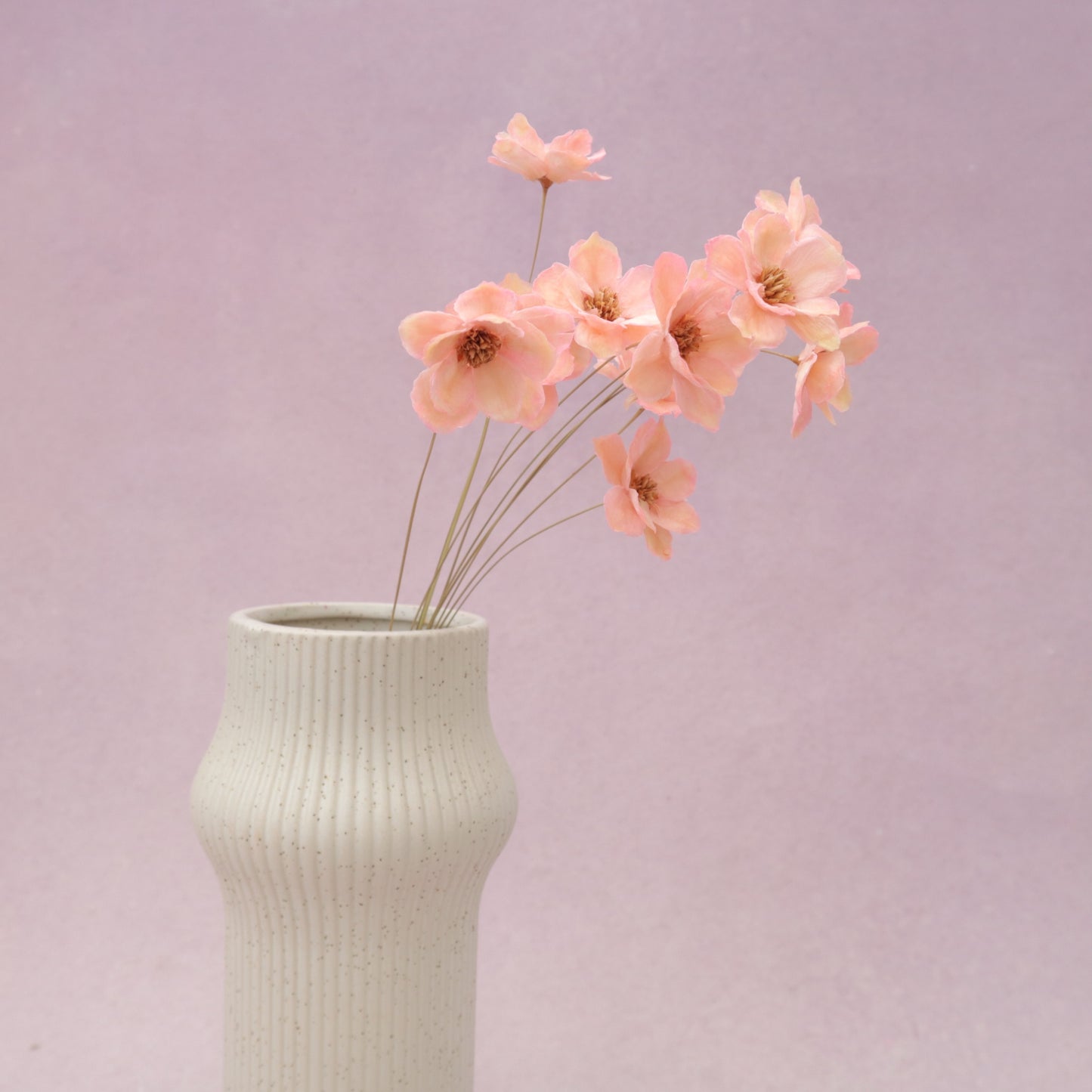 Sola Anemone Flower Light Pink
