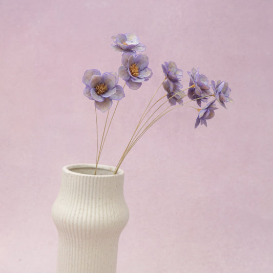 Sola Anemone Flower Purple