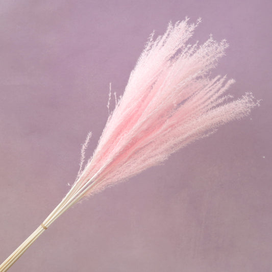 Horsetail Pink