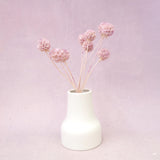 Scabiosa Light Mauve