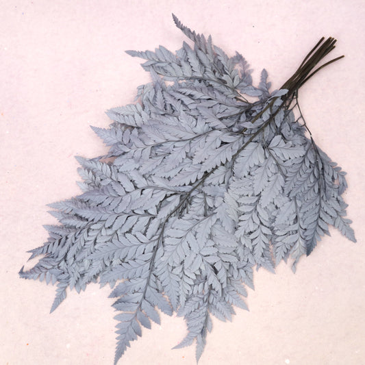 Leather Fern Small Dusty Blue