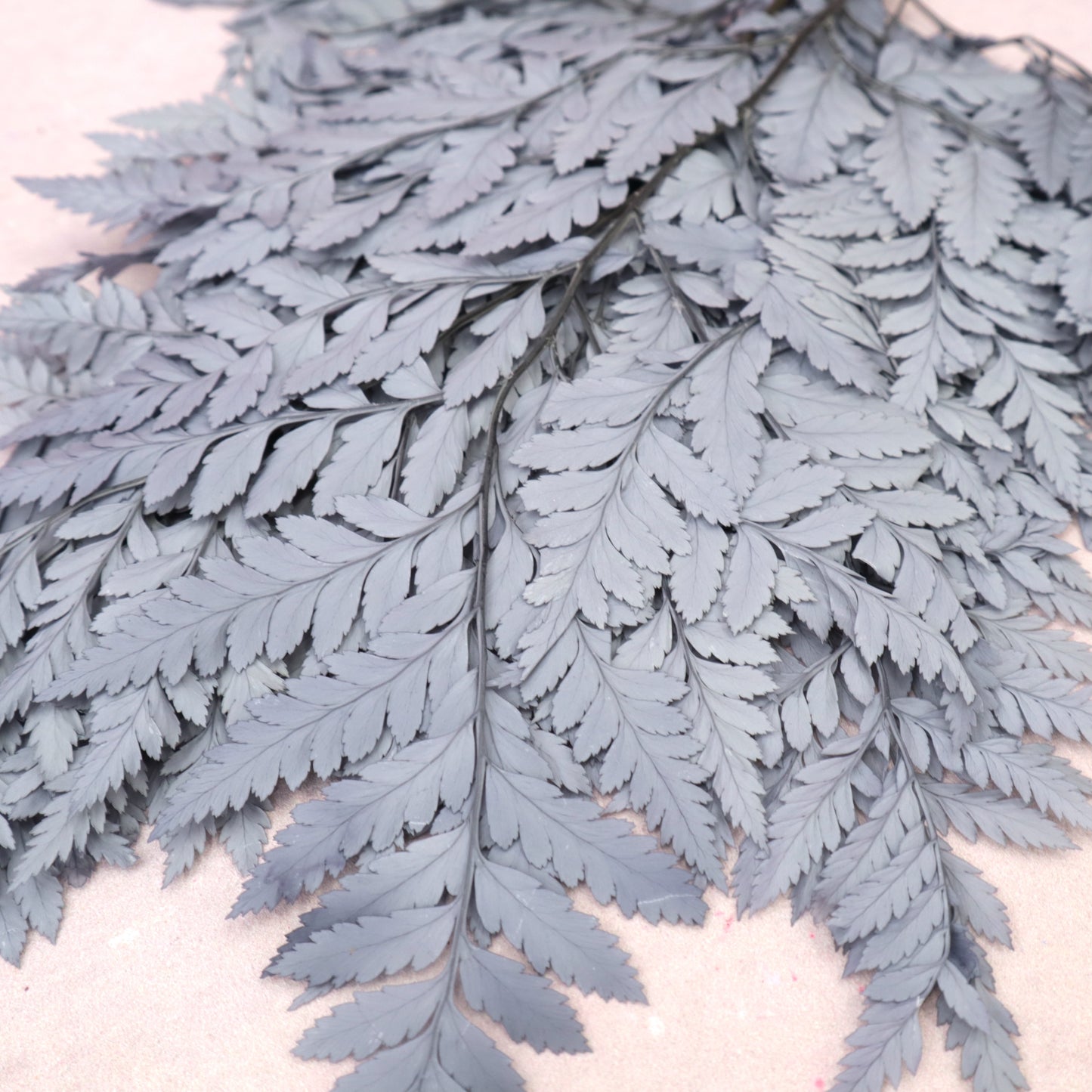 Leather Fern Small Dusty Blue