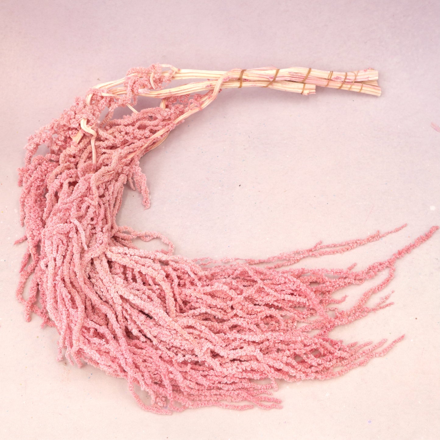 Amaranthus Flamingo Pink
