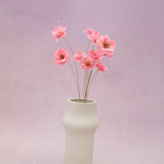 Sola Anemone Flower Pink