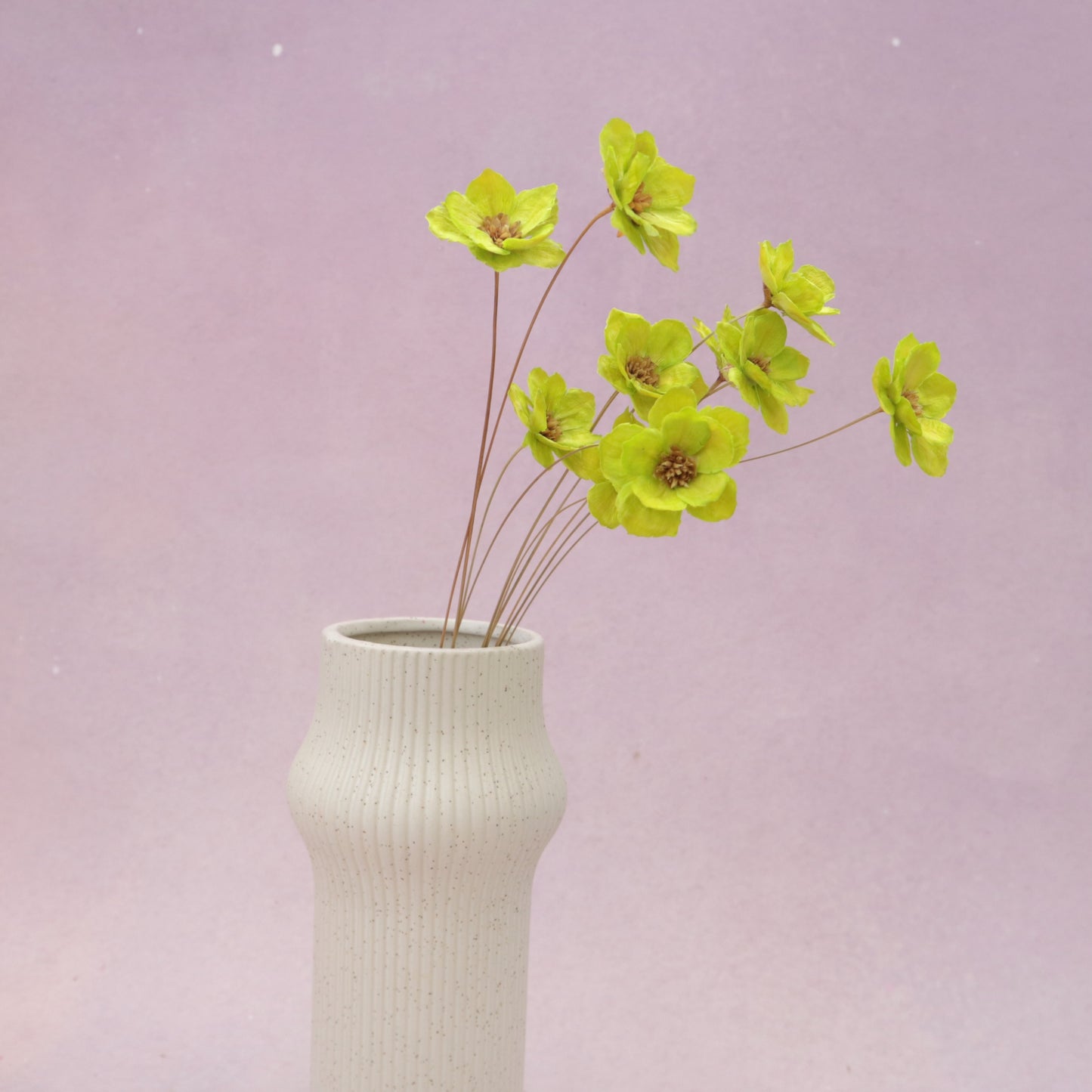 Sola Anemone Flower Lime Green