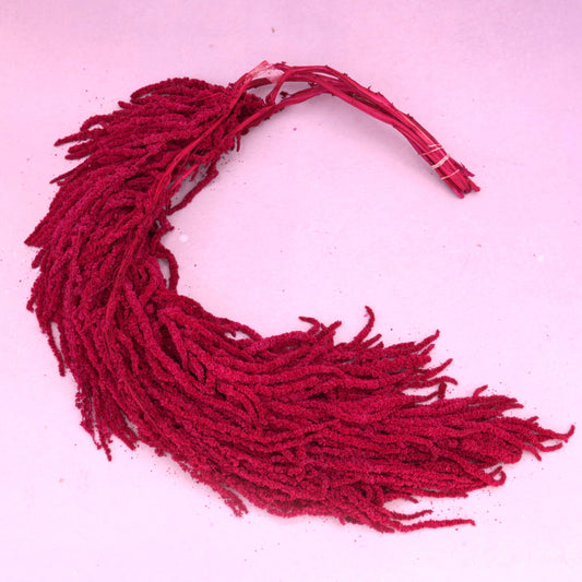 Amaranthus Magenta