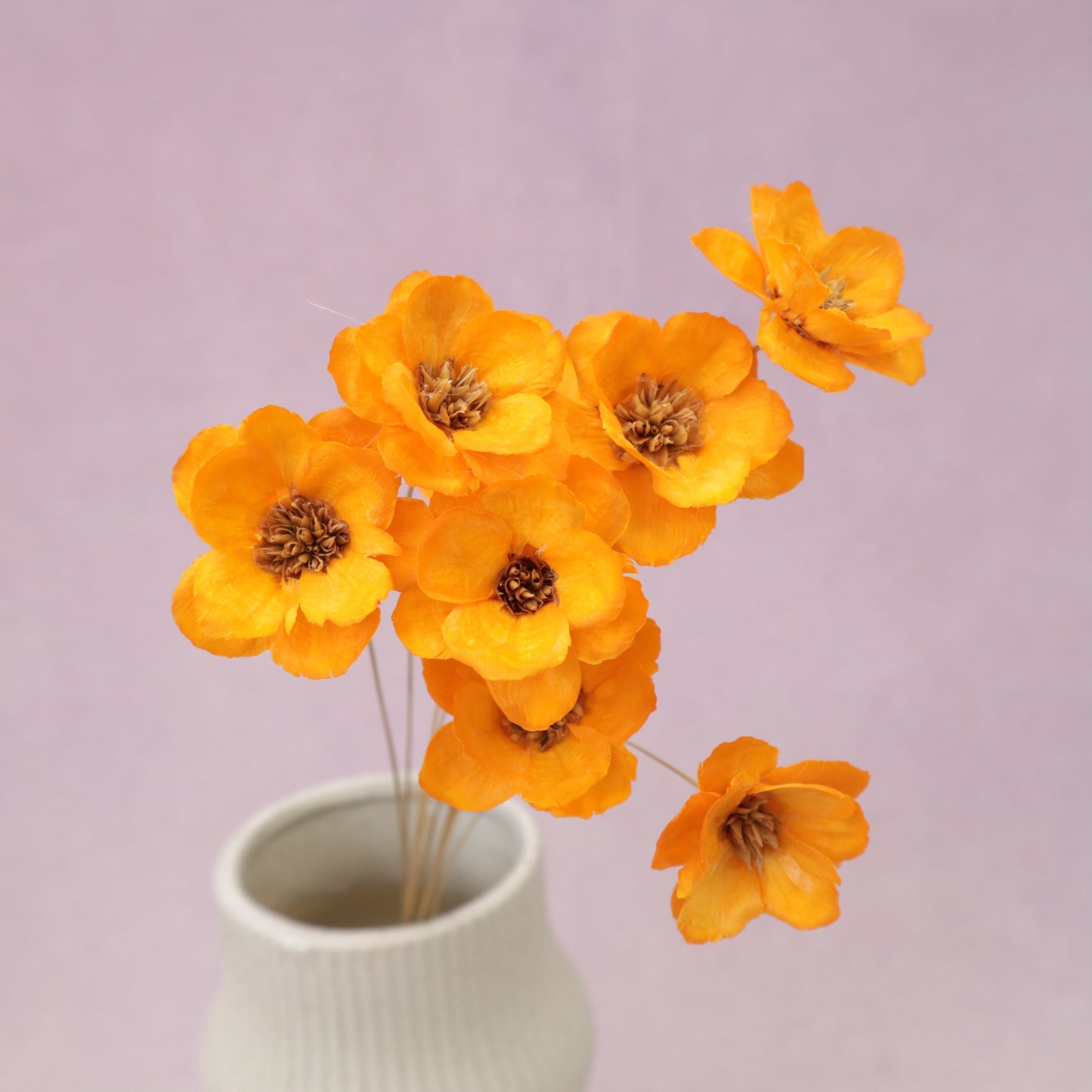 Sola Anemone Flower Orange