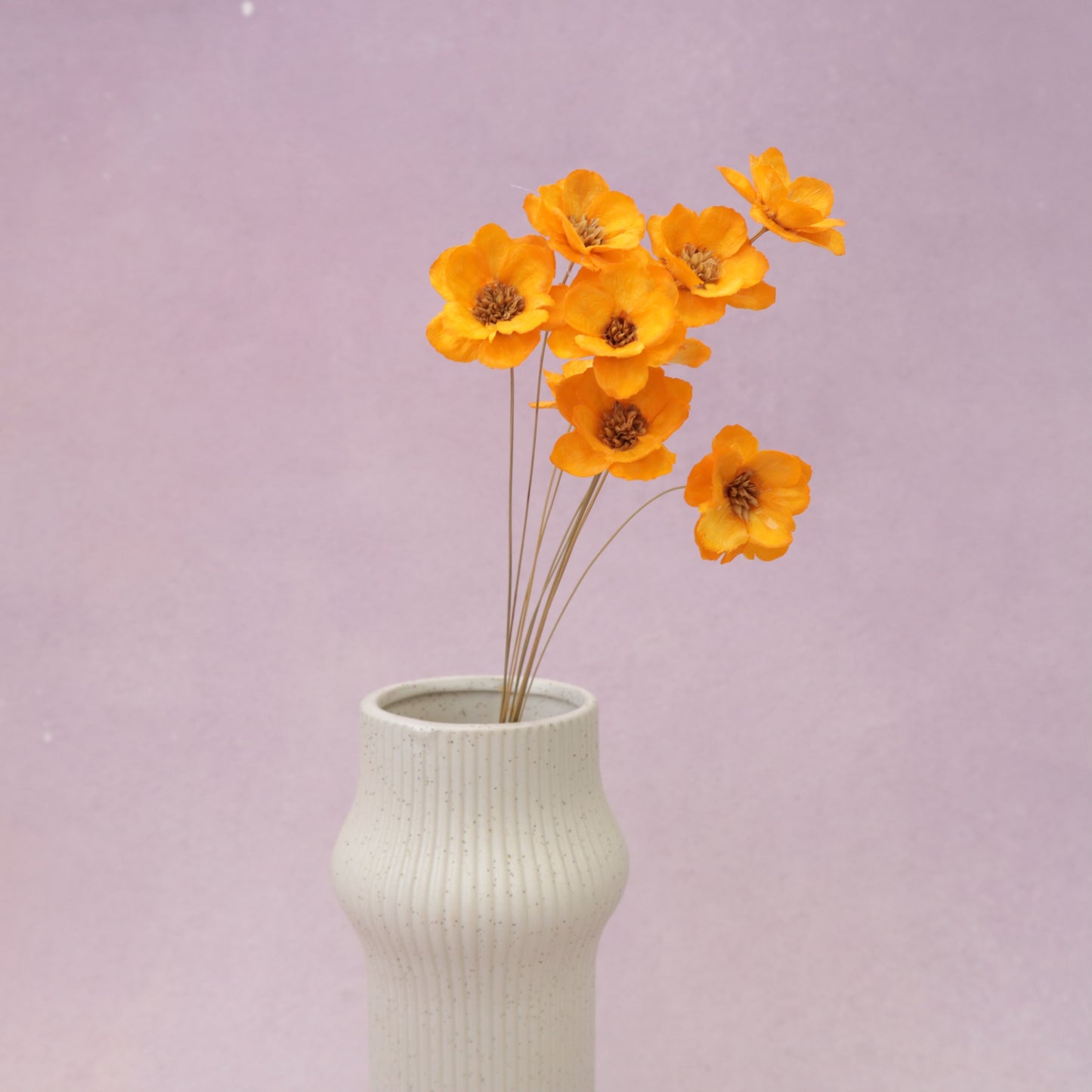 Sola Anemone Flower Orange