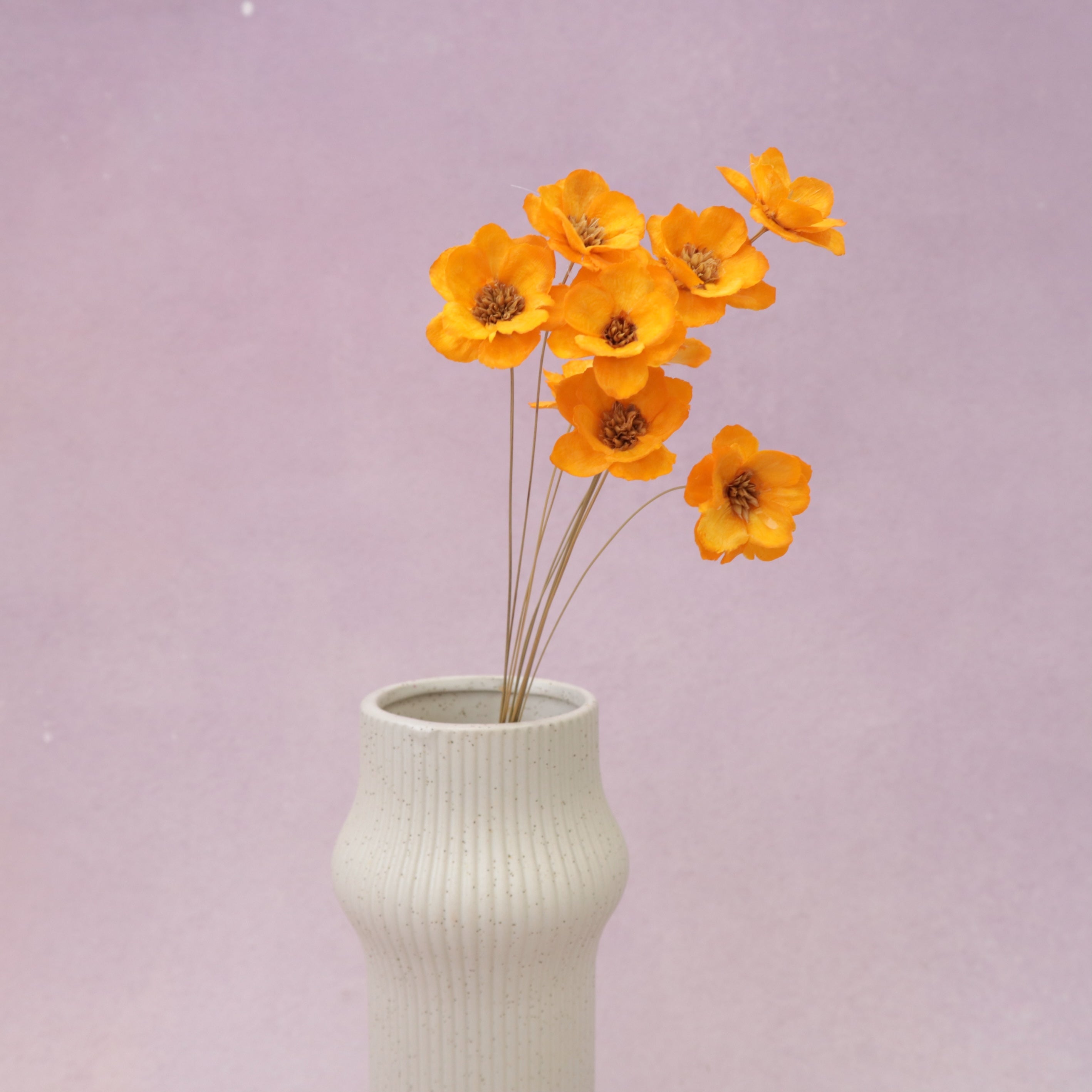 Sola Anemone Flower Orange