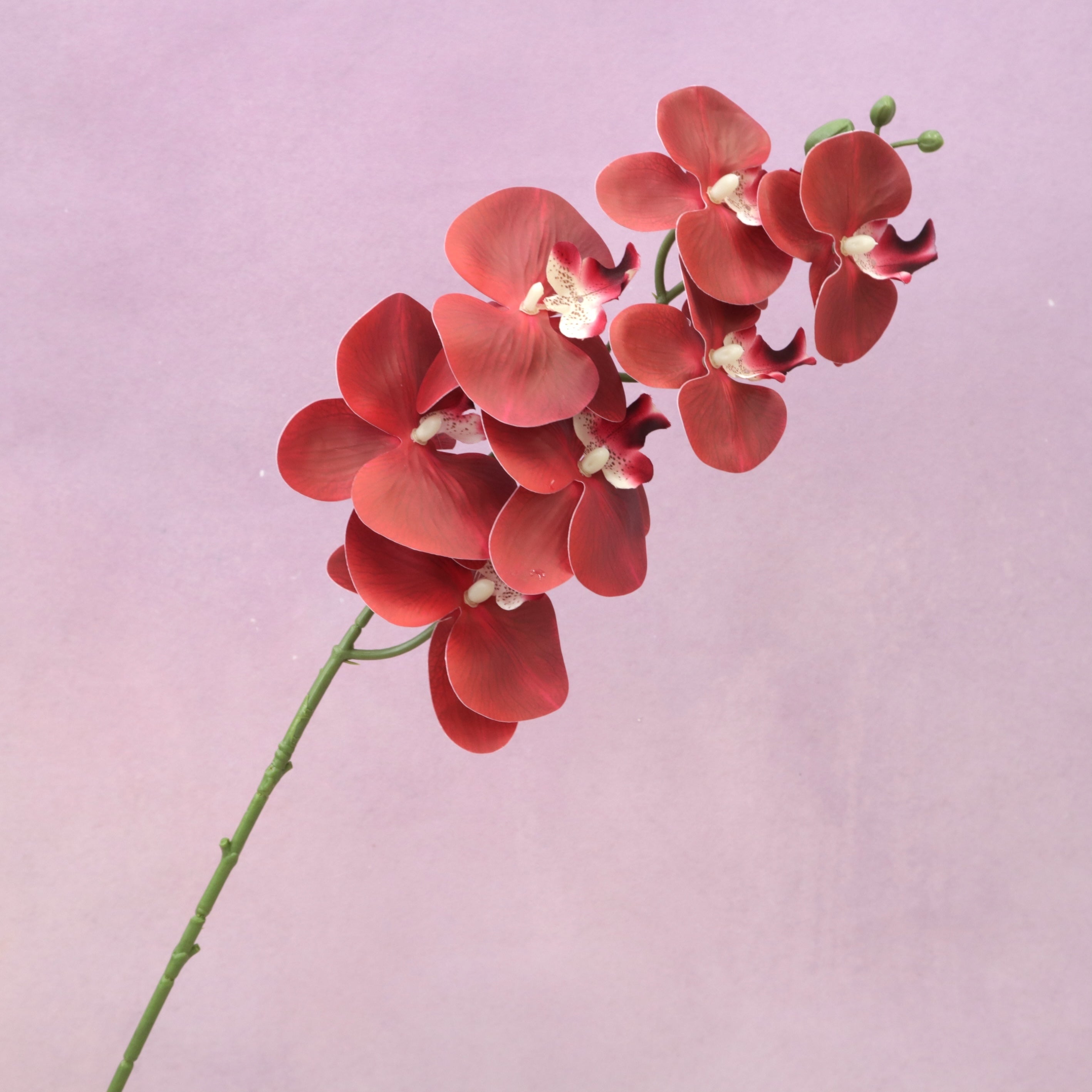 Artificial Orchid Red