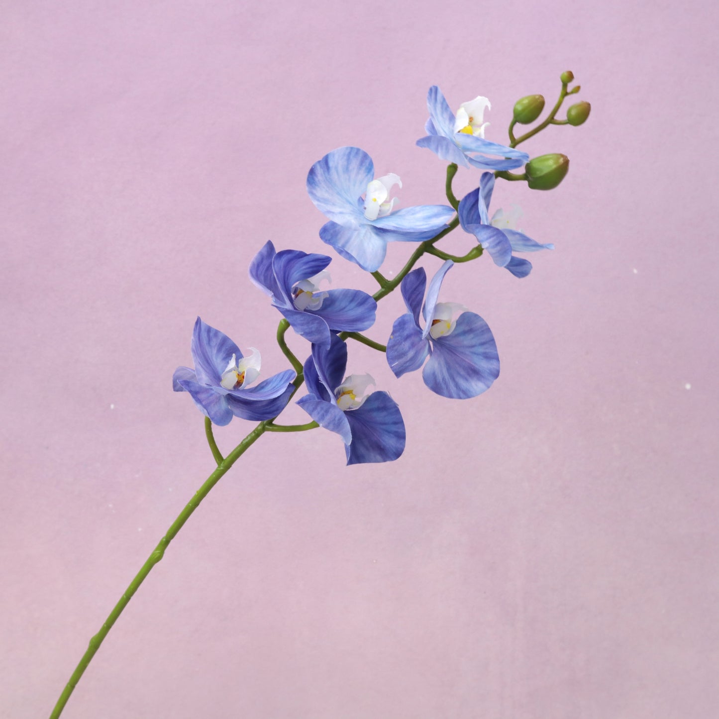 Artificial Real Touch Orchid Small (41)