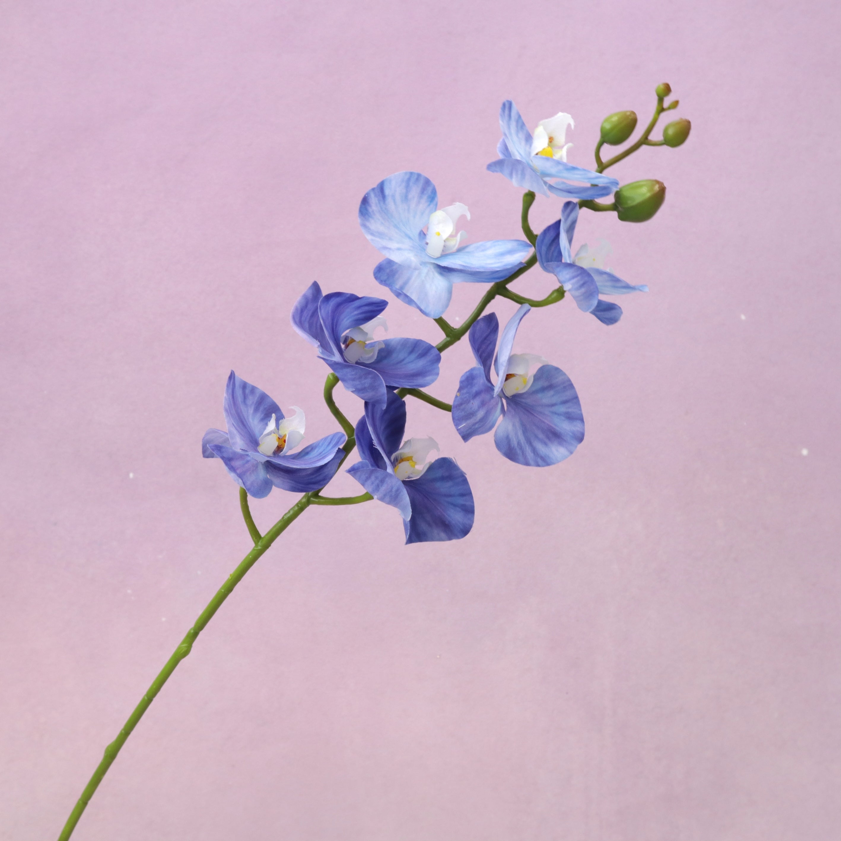 Artificial Real Touch Orchid Small (41)