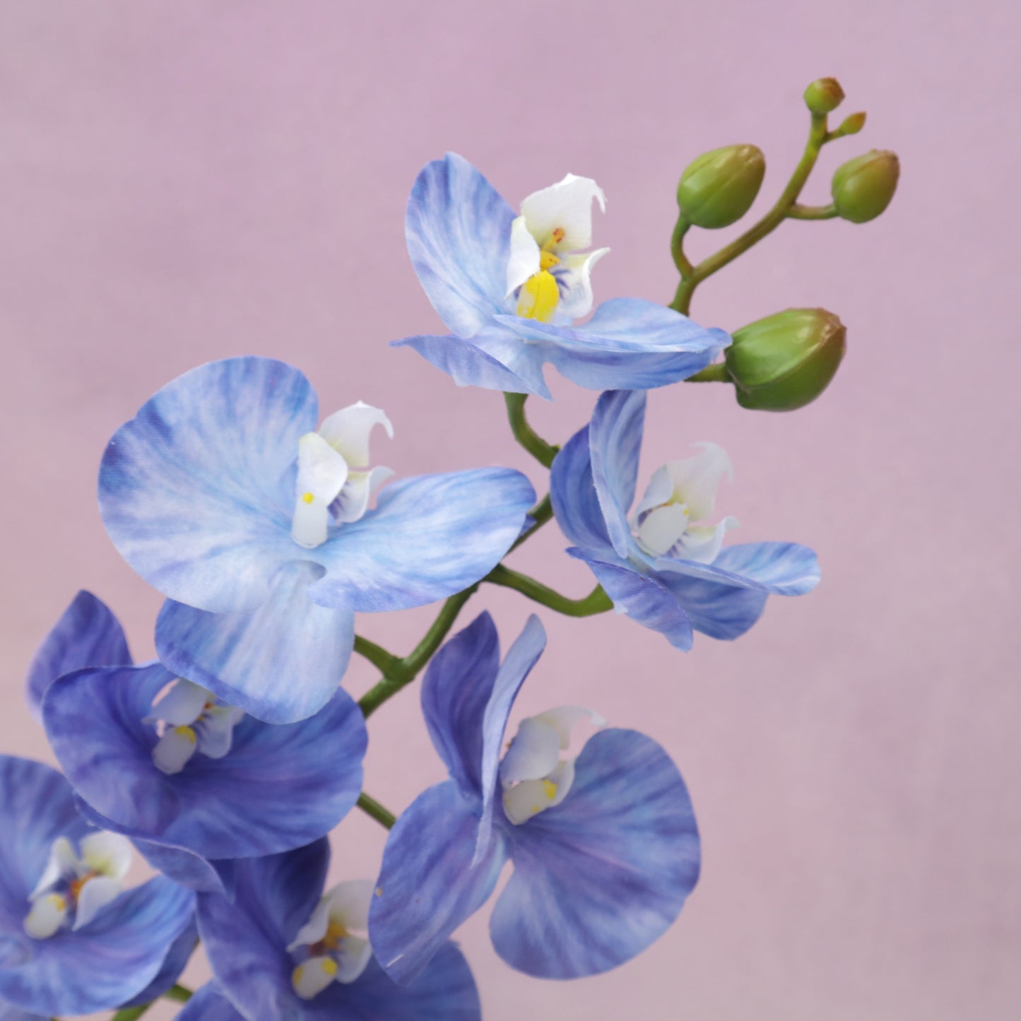 Artificial Real Touch Orchid Small (41)