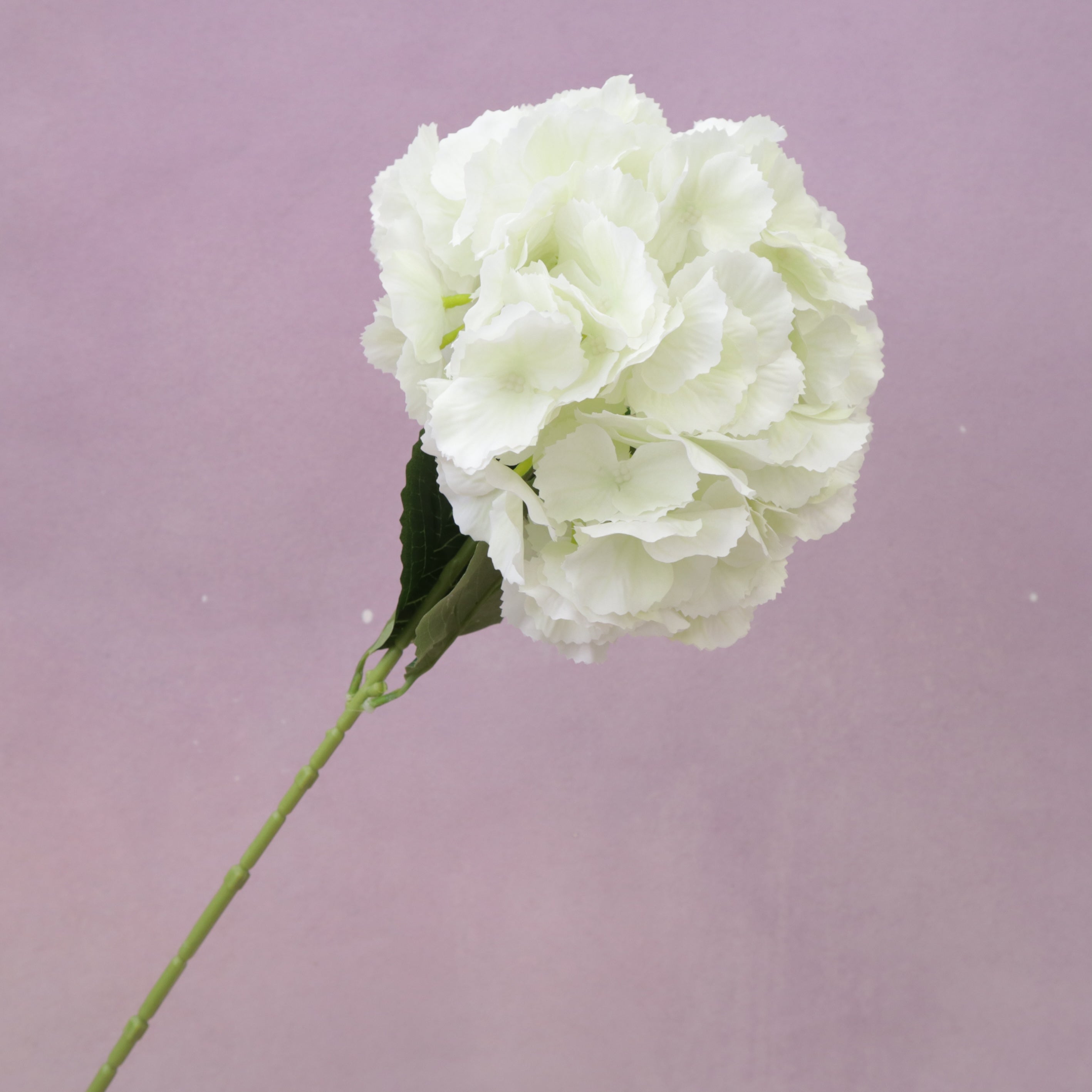 Silk Artificial Hydrangea Bigleaf Creamy White