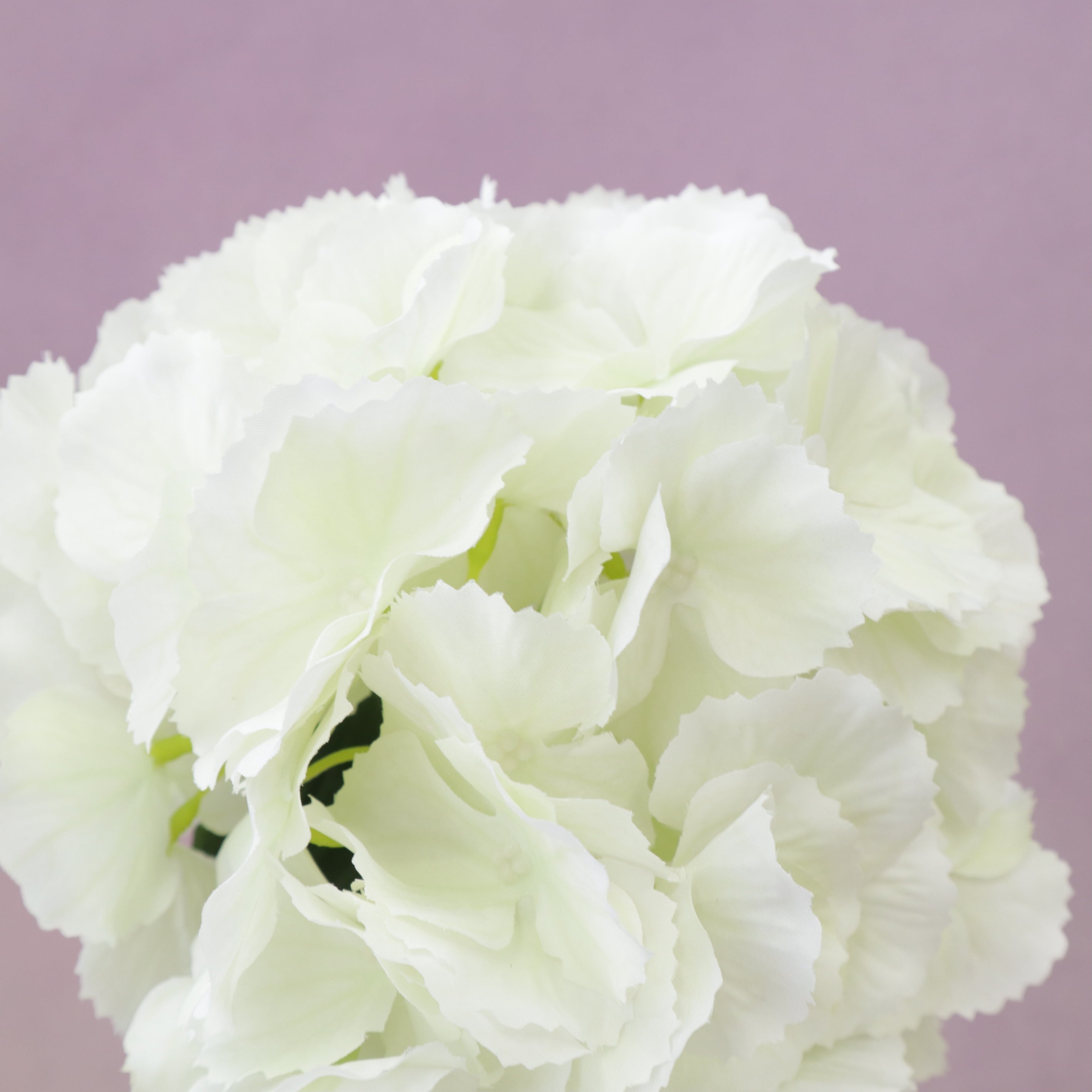 Silk Artificial Hydrangea Bigleaf Creamy White