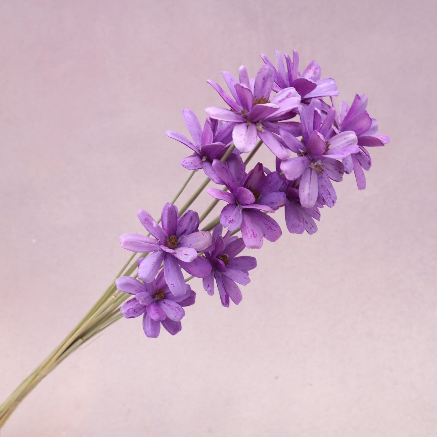 Handmade Daisy Violet