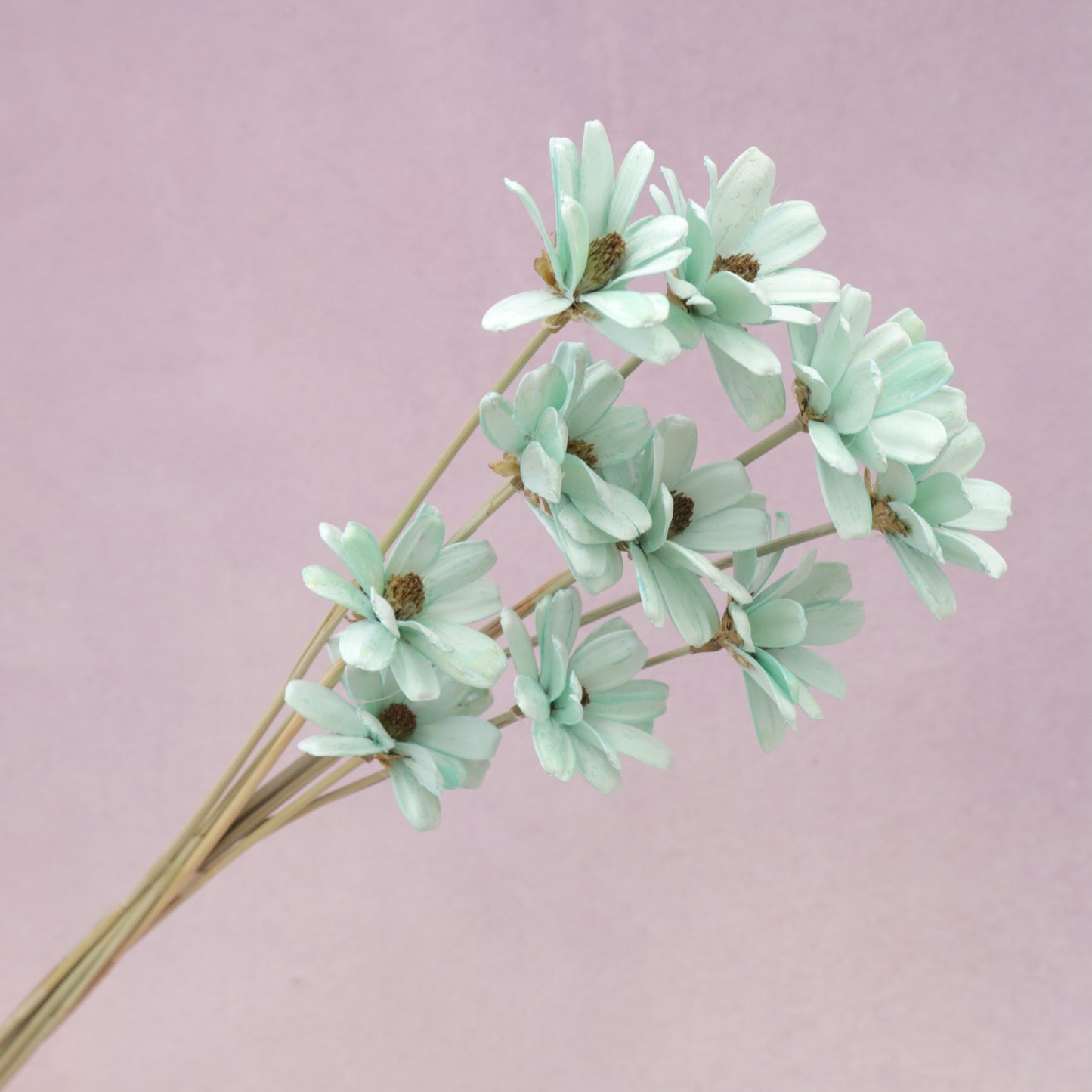 Handmade Daisy Turquoise