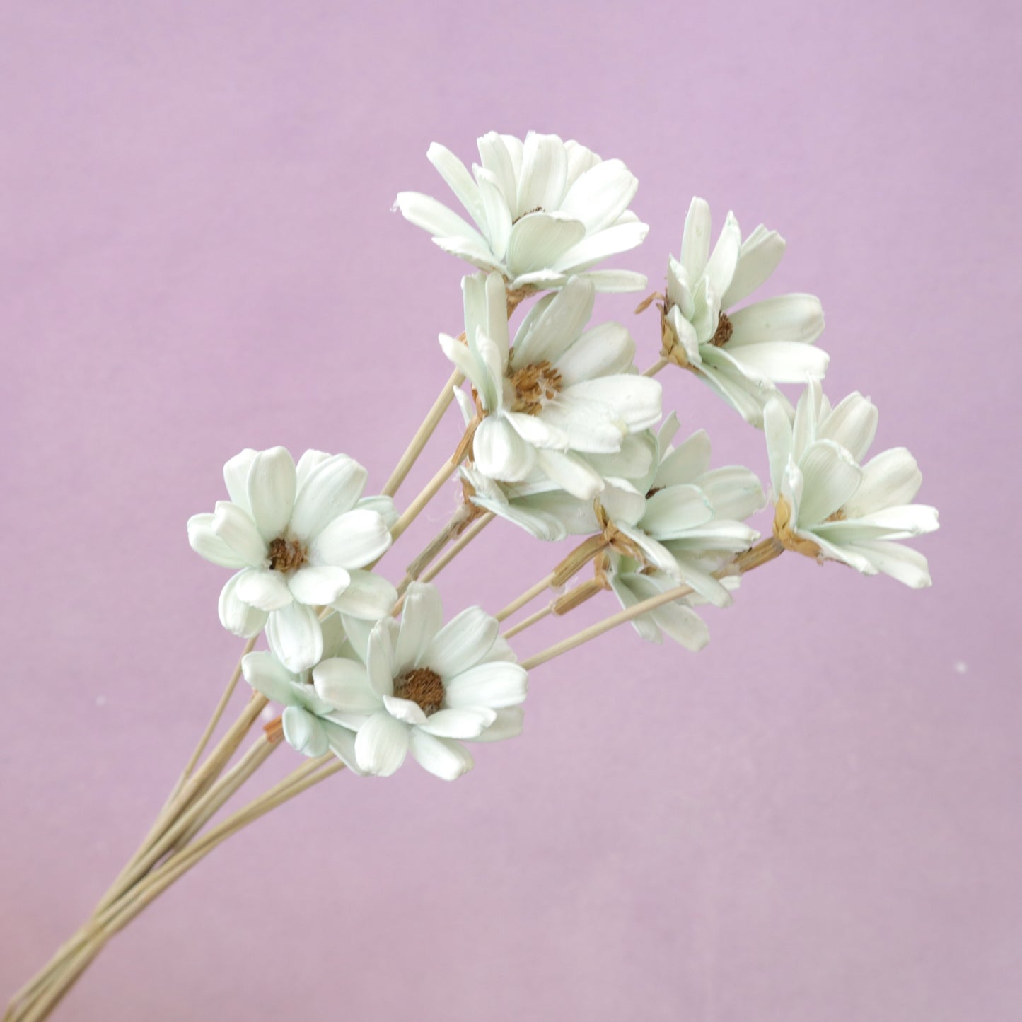 Handmade Daisy Pastel Green