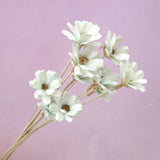 Handmade Daisy Pastel Green